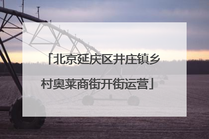 北京延庆区井庄镇乡村奥莱商街开街运营