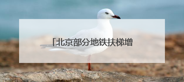 北京部分地铁扶梯增加新标识，提醒市民不必“左行右立”