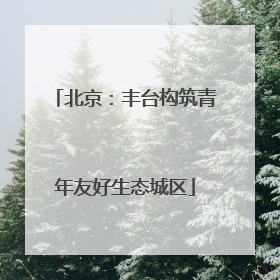 北京：丰台构筑青年友好生态城区