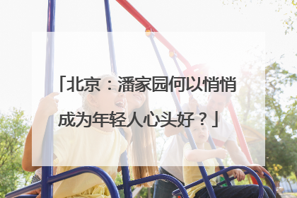 北京：潘家园何以悄悄成为年轻人心头好？