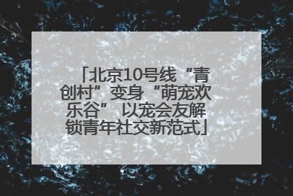 北京10号线“青创村”变身“萌宠欢乐谷” 以宠会友解锁青年社交新范式