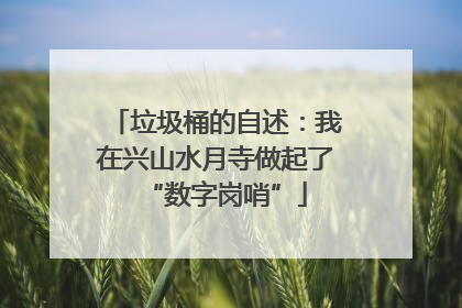 垃圾桶的自述：我在兴山水月寺做起了“数字岗哨”