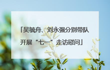 吴毓舟、刘永强分别带队开展“七一”走访慰问