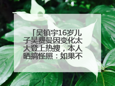 吴镇宇16岁儿子吴费曼因变化太大登上热搜，本人晒搞怪照：如果不喜欢现在的我可以离开