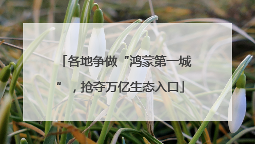 各地争做“鸿蒙第一城”，抢夺万亿生态入口