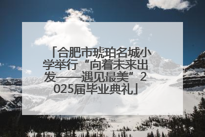合肥市琥珀名城小学举行“向着未来出发——遇见最美”2025届毕业典礼