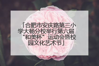 合肥市安庆路第三小学大杨分校举行第六届“和美杯”运动会暨校园文化艺术节
