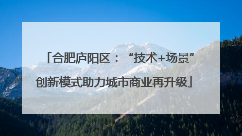 合肥庐阳区：“技术+场景”创新模式助力城市商业再升级
