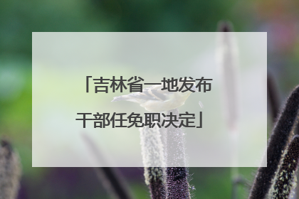 吉林省一地发布干部任免职决定
