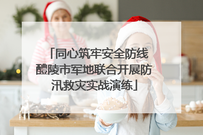 同心筑牢安全防线 醴陵市军地联合开展防汛救灾实战演练