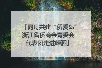 同舟共建“侨爱岛” 浙江省侨商会青委会代表团走进嵊泗