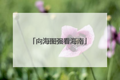 向海图强看海南