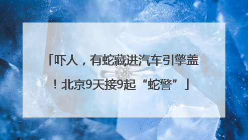 吓人，有蛇藏进汽车引擎盖！北京9天接9起“蛇警”