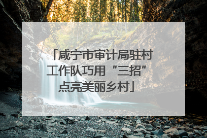 咸宁市审计局驻村工作队巧用“三招”点亮美丽乡村