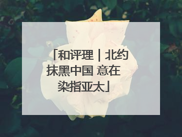 和评理｜北约抹黑中国 意在染指亚太