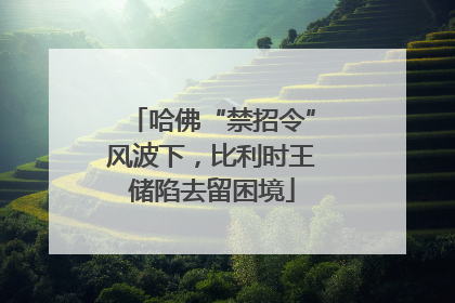 哈佛“禁招令”风波下，比利时王储陷去留困境