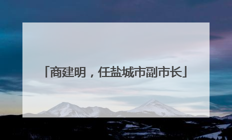商建明，任盐城市副市长