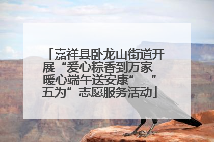 嘉祥县卧龙山街道开展“爱心粽香到万家 暖心端午送安康” “五为”志愿服务活动