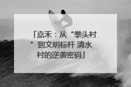 嘉禾：从“拳头村”到文明标杆 清水村的逆袭密码