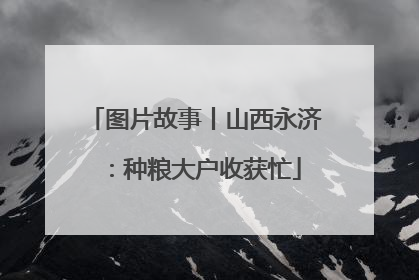图片故事丨山西永济：种粮大户收获忙