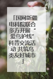 国网新疆电科院联合多方开展“爱鸟护线”科普交流活动 共筑鸟类友好城市
