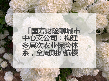 国寿财险聊城市中心支公司：构建多层次农业保险体系，全周期护航樱桃产业发展