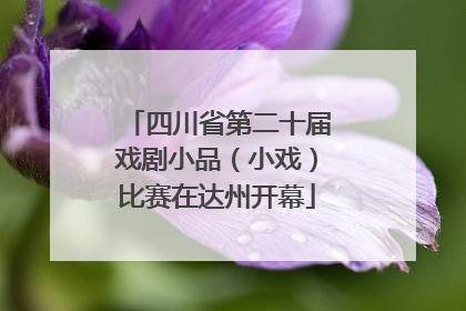 四川省第二十届戏剧小品（小戏）比赛在达州开幕