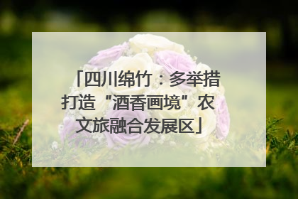 四川绵竹：多举措打造“酒香画境”农文旅融合发展区
