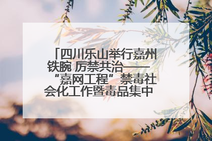四川乐山举行嘉州铁腕 厉禁共治——“嘉网工程”禁毒社会化工作暨毒品集中销毁启动仪式