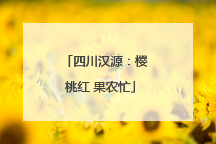 四川汉源：樱桃红 果农忙