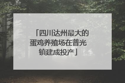 四川达州最大的蛋鸡养殖场在普光镇建成投产