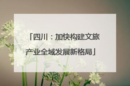 四川：加快构建文旅产业全域发展新格局