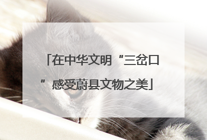 在中华文明“三岔口”感受蔚县文物之美