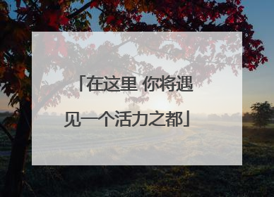 在这里 你将遇见一个活力之都