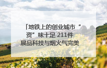 地铁上的创业城市“资”味十足 211件展品科技与烟火气完美融合｜西博视界