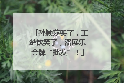 孙颖莎哭了，王楚钦笑了，潘展乐金牌“批发”！