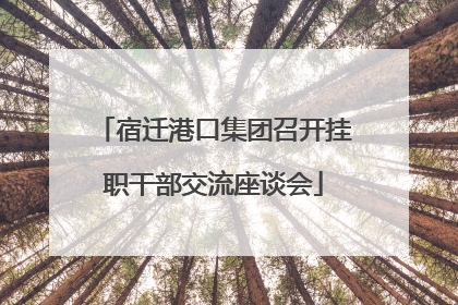 宿迁港口集团召开挂职干部交流座谈会