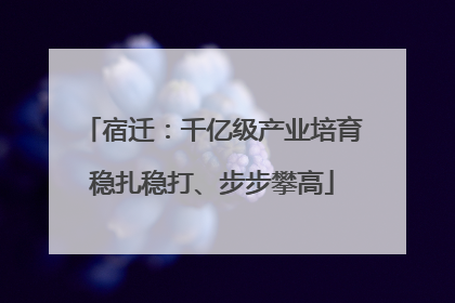 宿迁：千亿级产业培育稳扎稳打、步步攀高