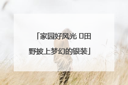 家园好风光 ⎮田野披上梦幻的银装