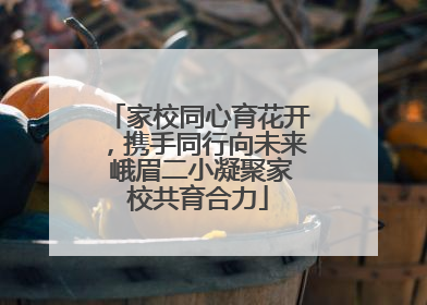 家校同心育花开，携手同行向未来 峨眉二小凝聚家校共育合力
