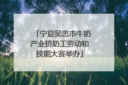 宁夏吴忠市牛奶产业挤奶工劳动和技能大赛举办
