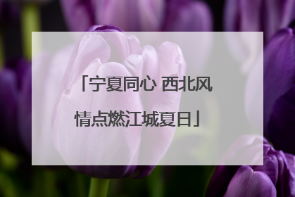 宁夏同心 西北风情点燃江城夏日