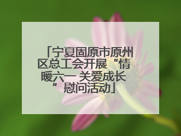 宁夏固原市原州区总工会开展“情暖六一 关爱成长”慰问活动
