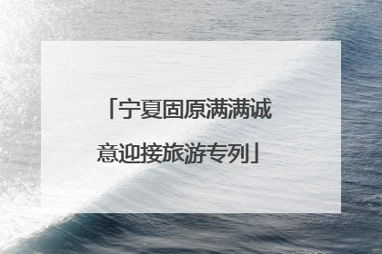 宁夏固原满满诚意迎接旅游专列