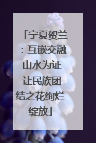宁夏贺兰：互嵌交融 山水为证 让民族团结之花绚烂绽放