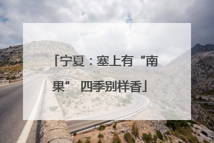宁夏：塞上有“南果” 四季别样香