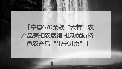 宁夏670余款“六特”农产品亮相农展馆 推动优质特色农产品“出宁进京”