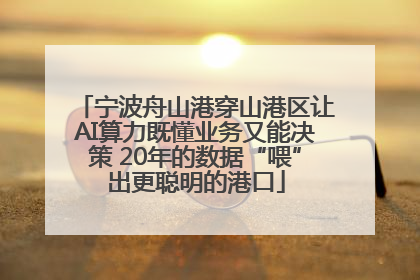 宁波舟山港穿山港区让AI算力既懂业务又能决策 20年的数据“喂”出更聪明的港口