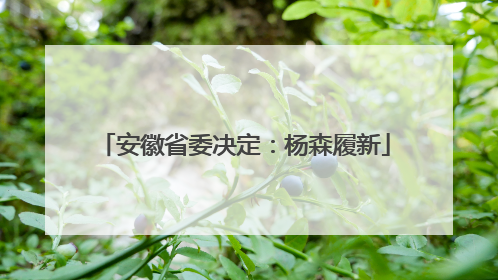 安徽省委决定：杨森履新