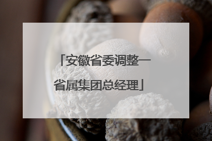 安徽省委调整一省属集团总经理